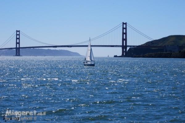 שאר העולם  REST OF THE WORLD