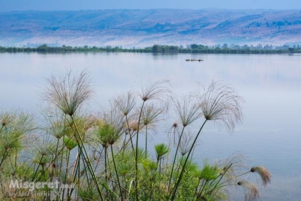 נופים landscapes