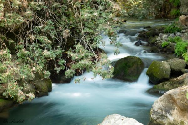 נופים 2 landscapes