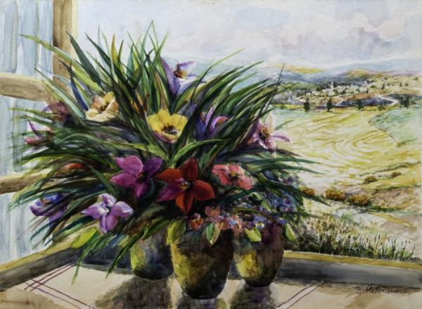 נופי ארץ ישראל