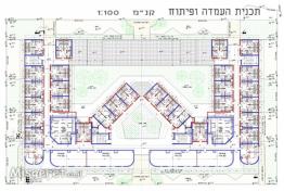 תכנית העמדה ופיתוח