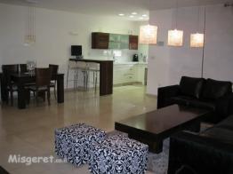 מתחם הסלון והמטבח