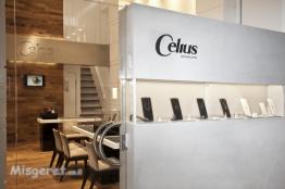 celius חנות תכשיטים 