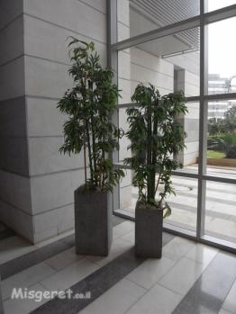 מבט לקיר היציאה מהבניין