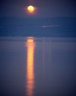 תמונה של ירח על המים | תמונות