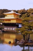 תמונה של מקדש הזהב בקיוטו | תמונות