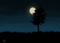 תמונה של ליל ירח קסום | תמונות