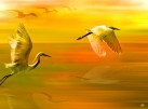תמונה של ציפורים במעוף צהובה | תמונות
