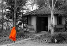 תמונה של thailindian monk | תמונות