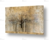 Avery Tillmon 50x74 עודפים - תמונה 1