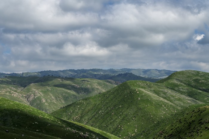 גלים ירוקים