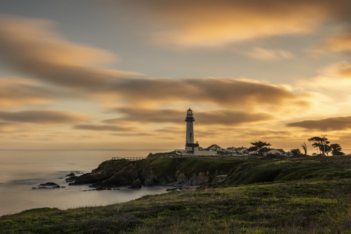 מגדלאור פיג׳ן פוינט