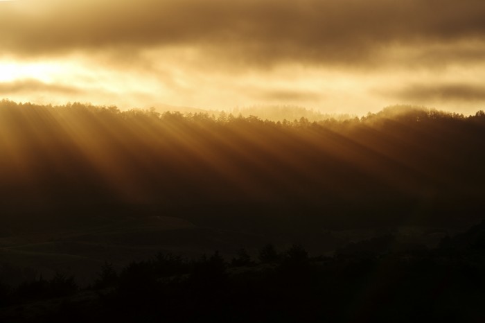 זריחה מוזהבת