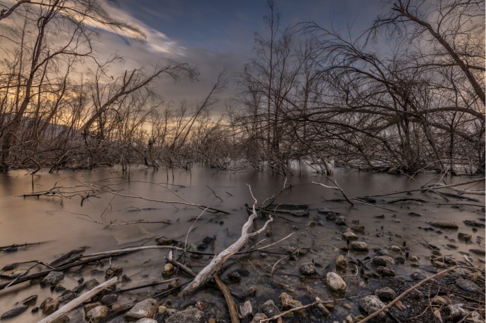 זריחה בכינרת