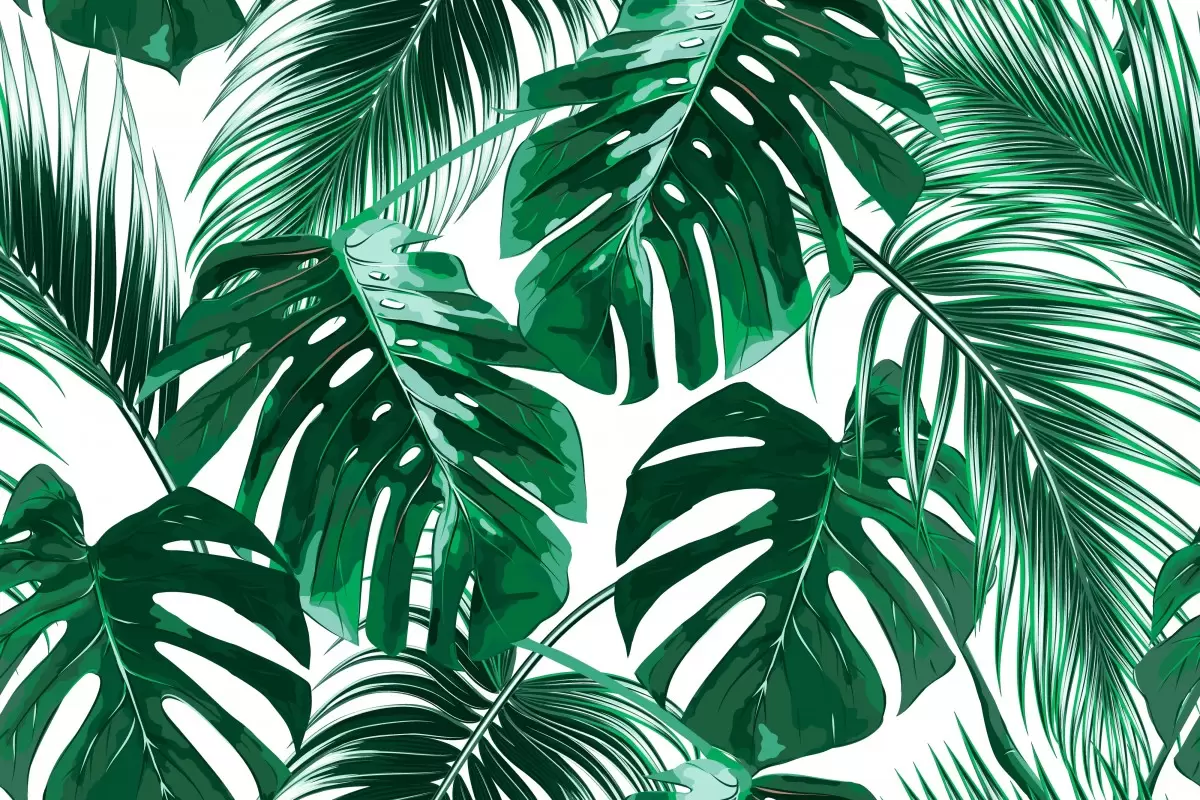 עלים ירוק טרופי מודרני - Artpicked Modern - תמונות נורדיות אבסטרקט פרחוני ובוטני סטים בסגנון גיאומטרי  - מק''ט: 376276