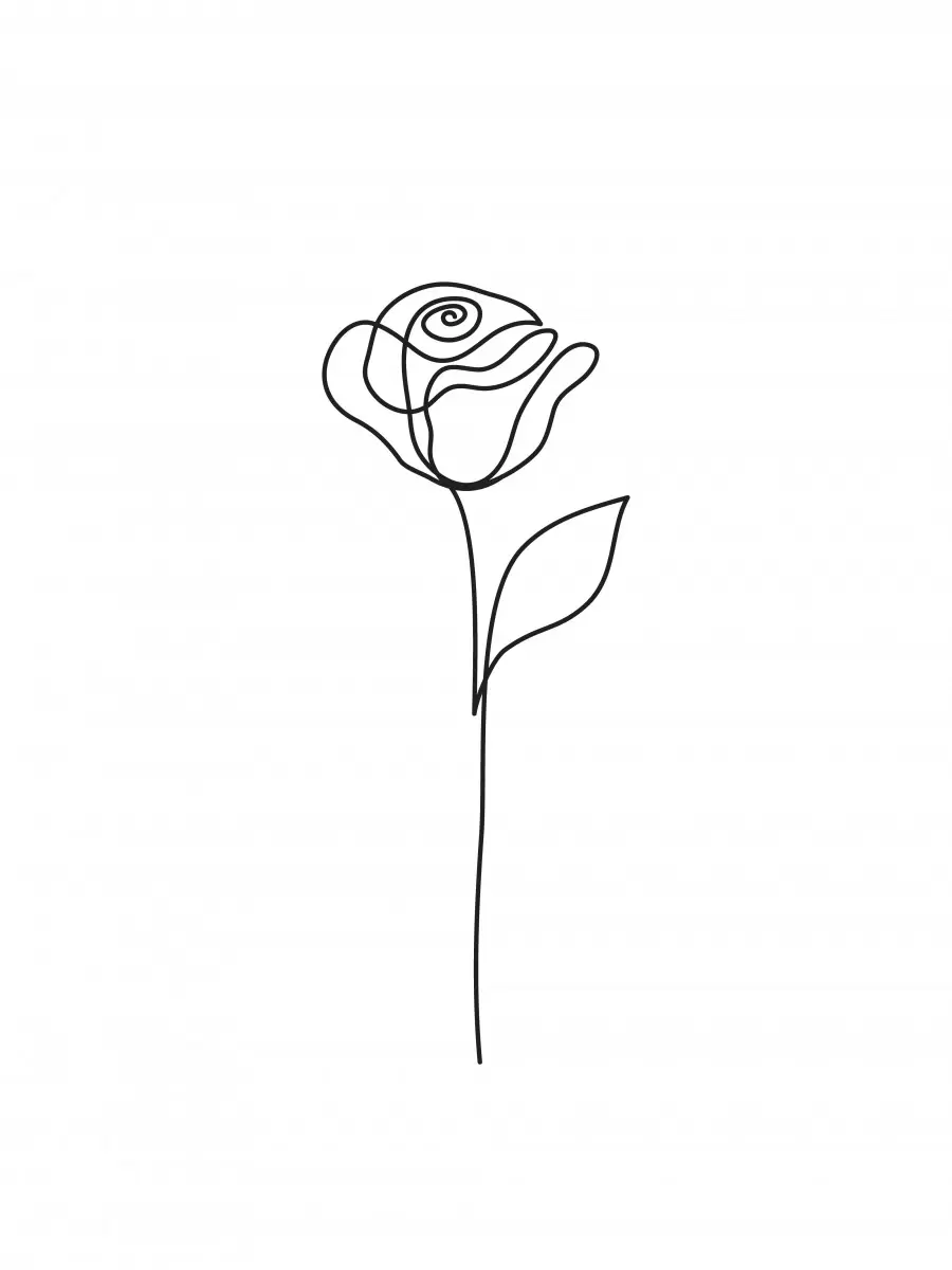 פרח נקי בקו - Artpicked Modern - תמונות לחדר כביסה ציור בקו אחד  - מק''ט: 376388