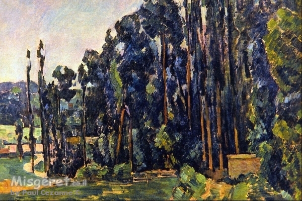Paul Cezanne 038