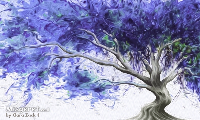 #0018  עץ אקזוטי