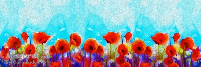 #0022 שדה פרגים