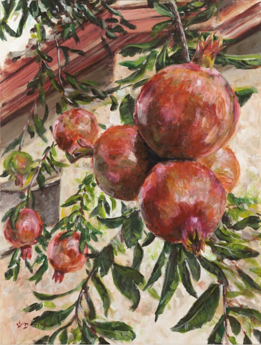 הנצו הרימונים