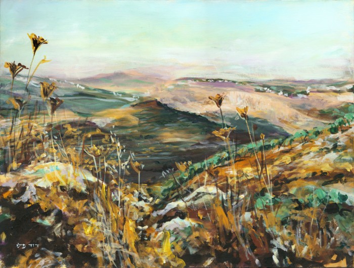 מדרונות שומרון