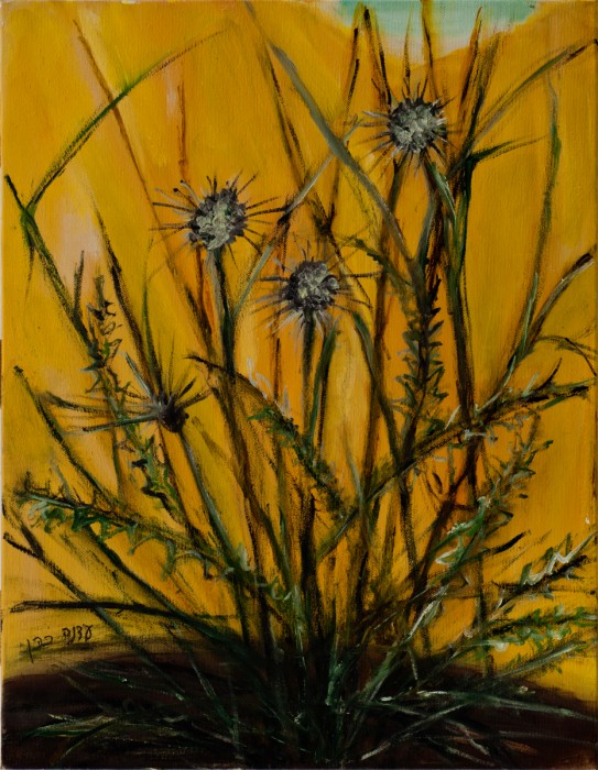 קוצים במדבר