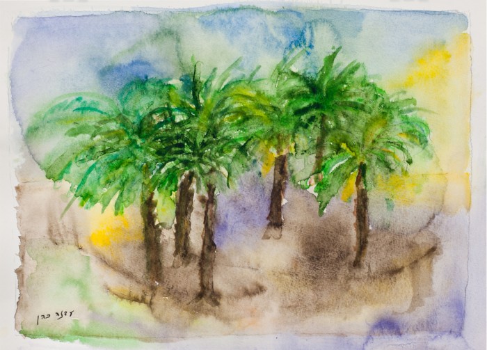 חורשת דקלים