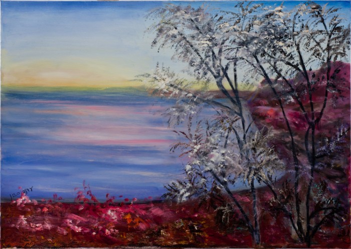 אגם בסקוטלנד