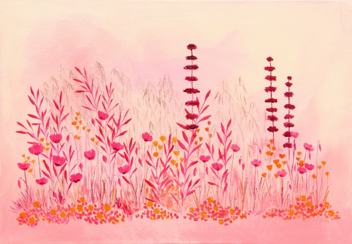 שדה פורח בורוד (עדין)