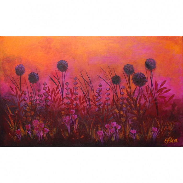 שדה פורח עם תפרחות שום בר