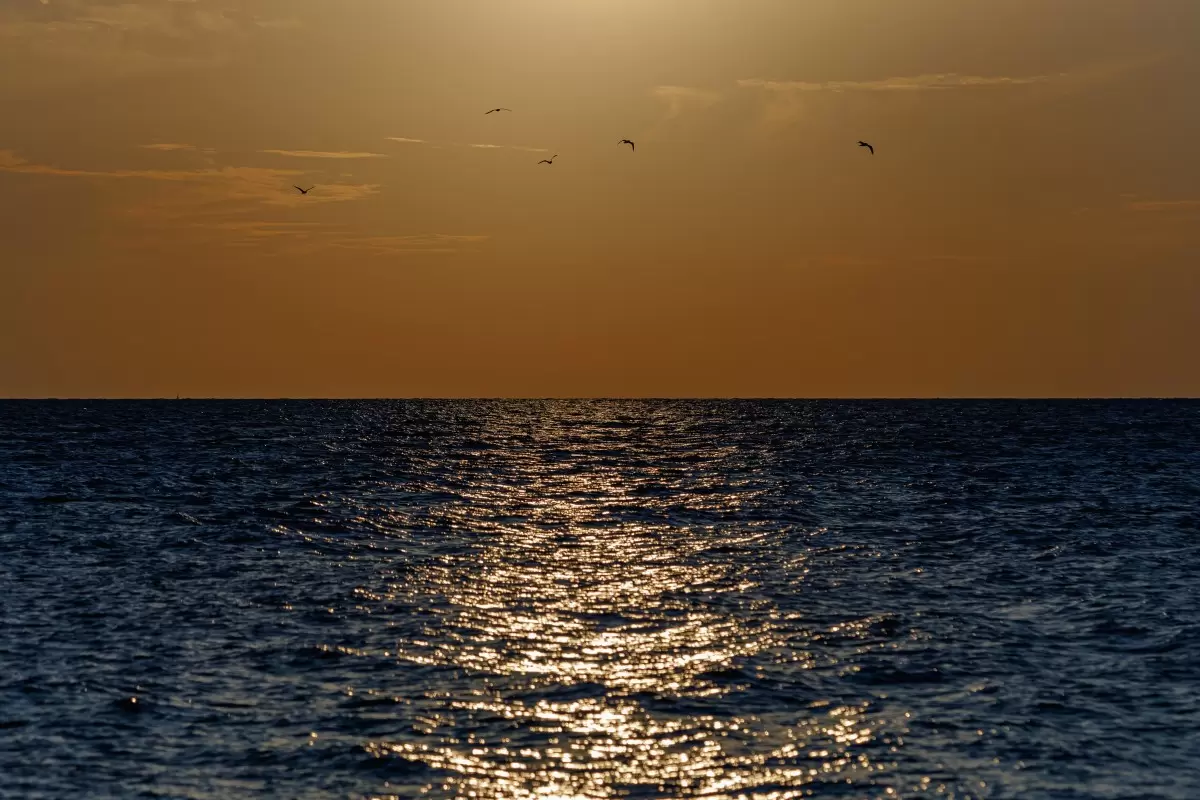 sunset - יבגני זלבקוב - צילומים  - מק''ט: 455975