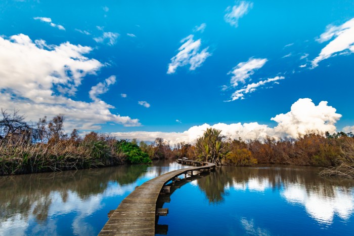נוף אגם ושביל