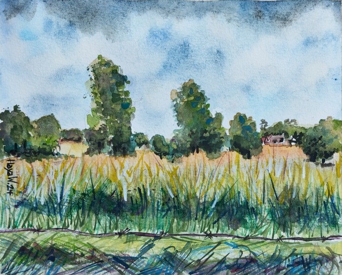 גדר תייל לנוף