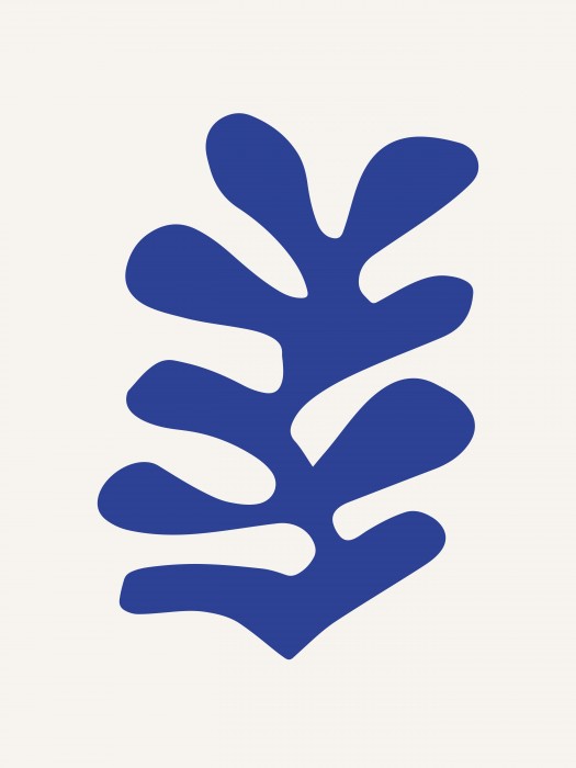 מאטיס 17