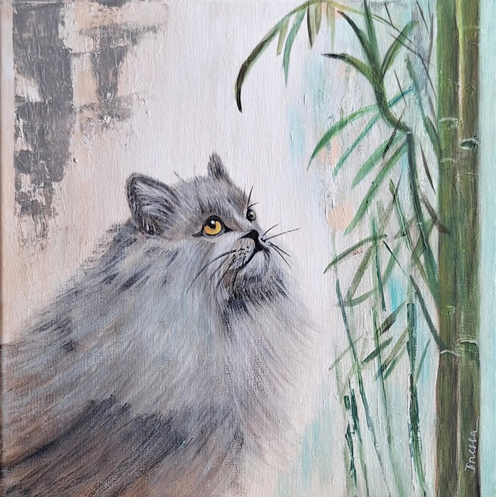 חתול ובמבוק