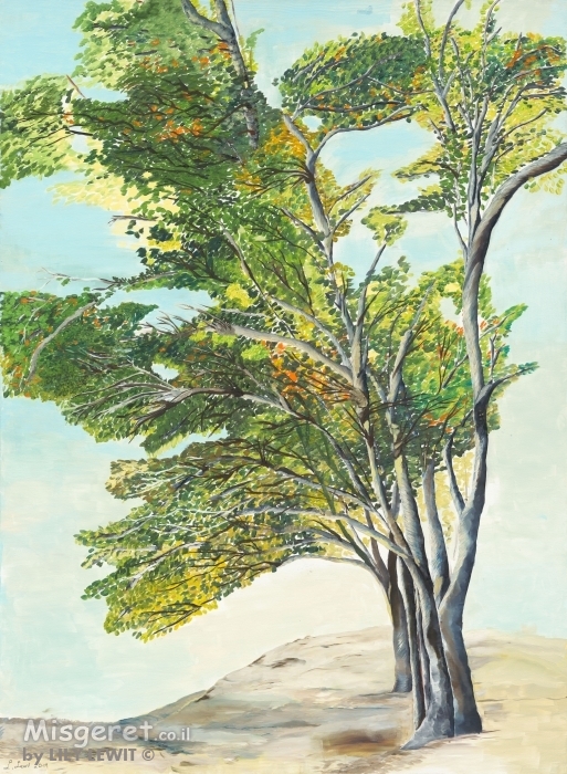 טובעים בחול