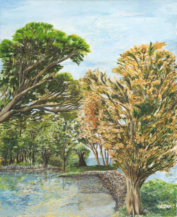 מפרץ הפיראטים