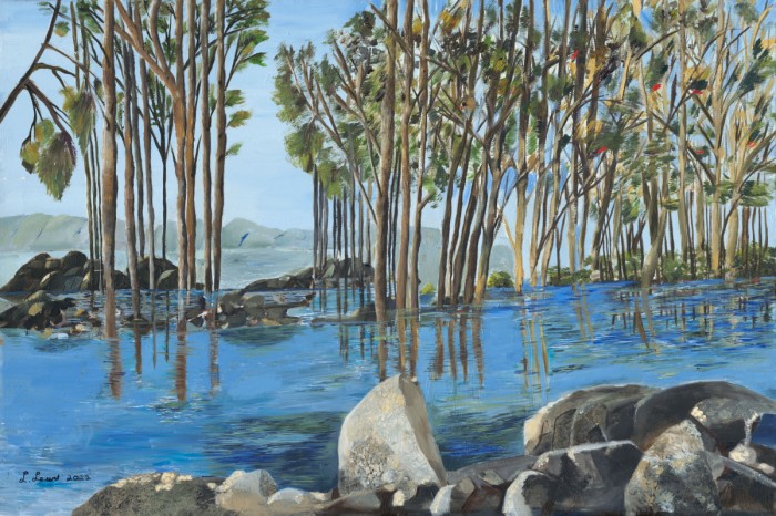 סלעים על הכינרת שלי