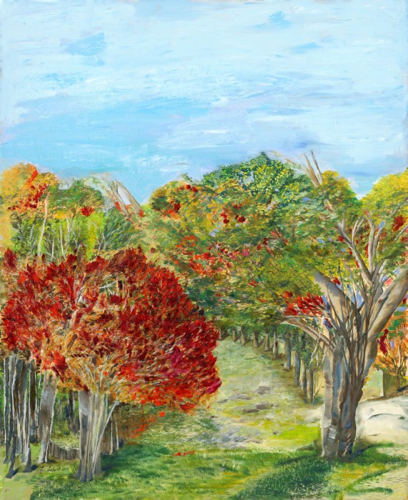 בין אדום לירוק