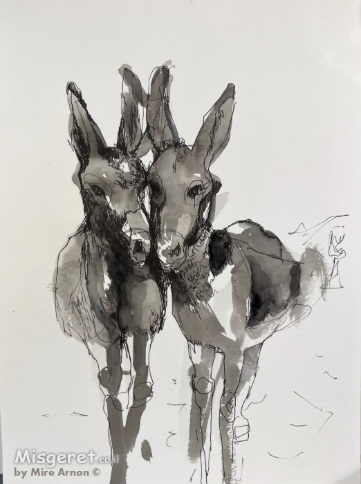 זוג חמורים דיו