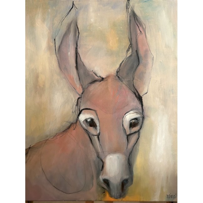 חמורה ורודה