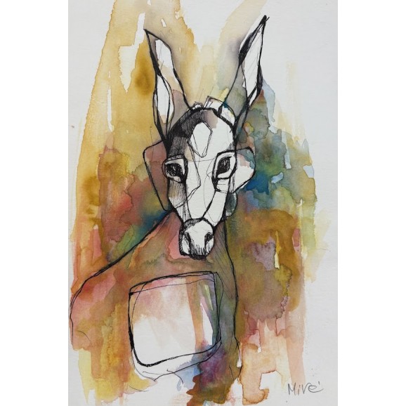 חמור צבעוני