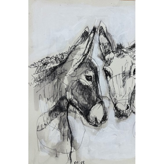 חמור שחור אתון לבנה