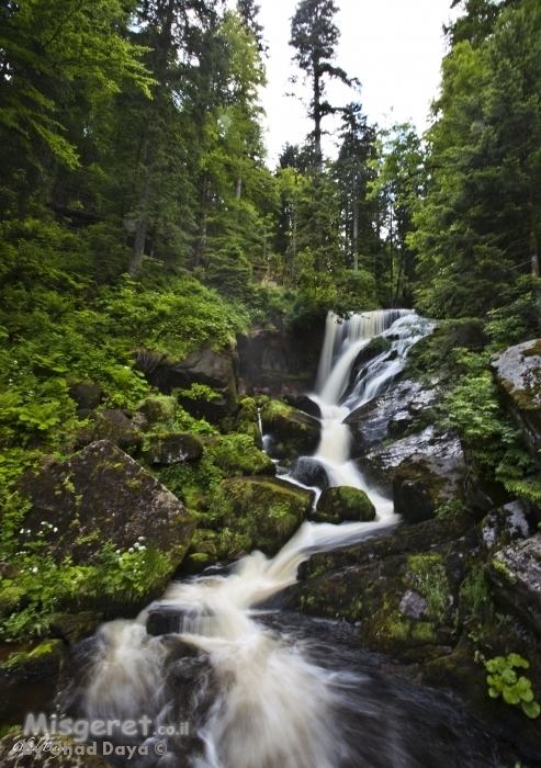 Flow