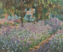 Irises אירוסים