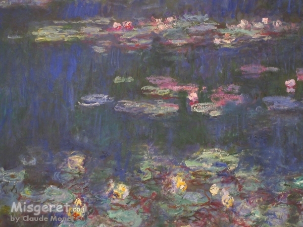 water lilies חבצלות מים