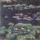 חבצלות מים  water lilies