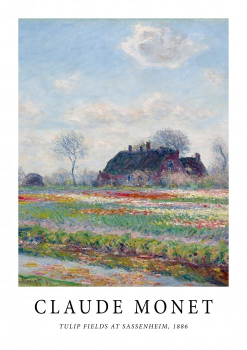 Tulip Fields At Sassenheim