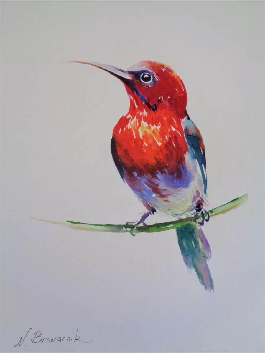 ציפור אדומה - נטליה ברברניק - צבעי מים  - מק''ט: 330508