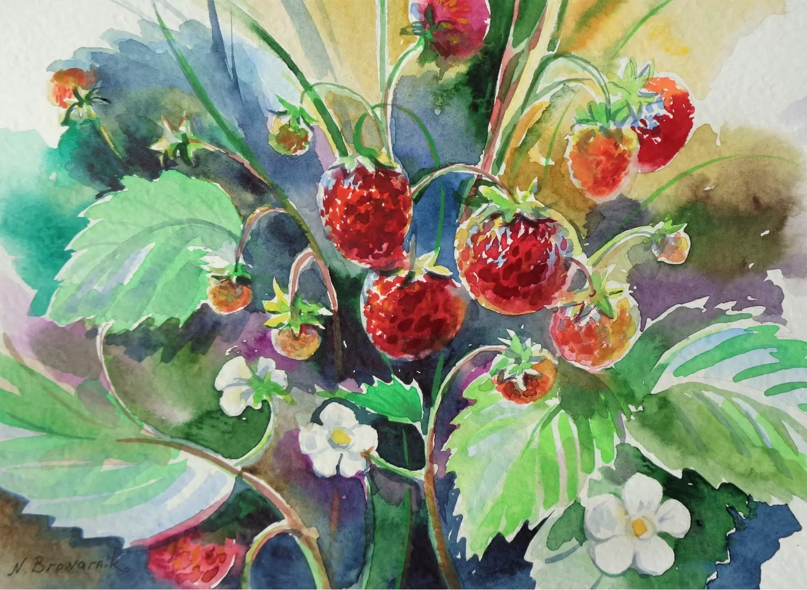 פירות יער - נטליה ברברניק - צבעי מים  - מק''ט: 330513